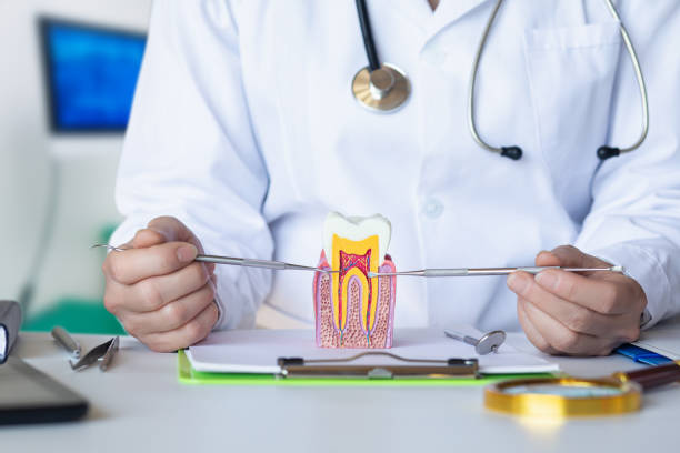 Best Emergency Orthodontic Repairs in Collierville, CA